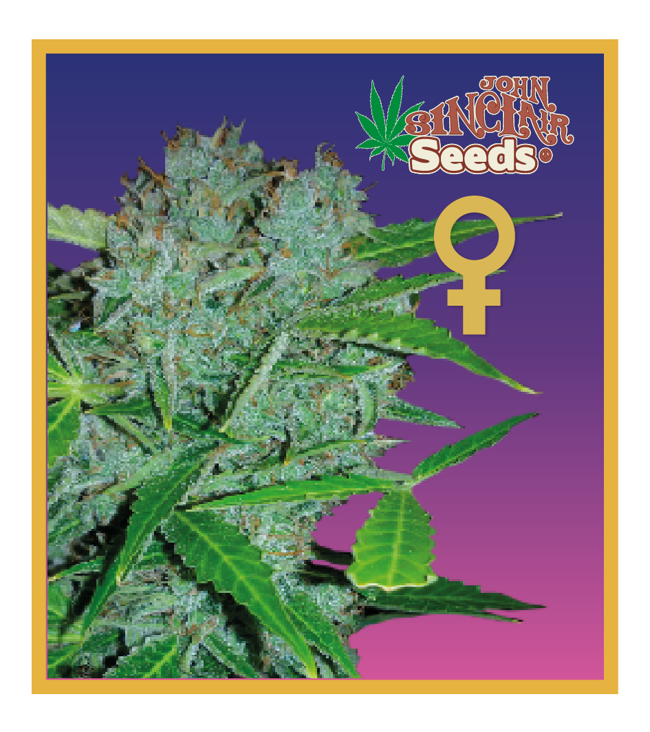 Ceres Seeds