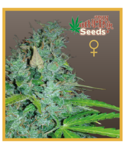 MCM - Auto-Flowering Cannabis Seeds - John Sinclair Seeds