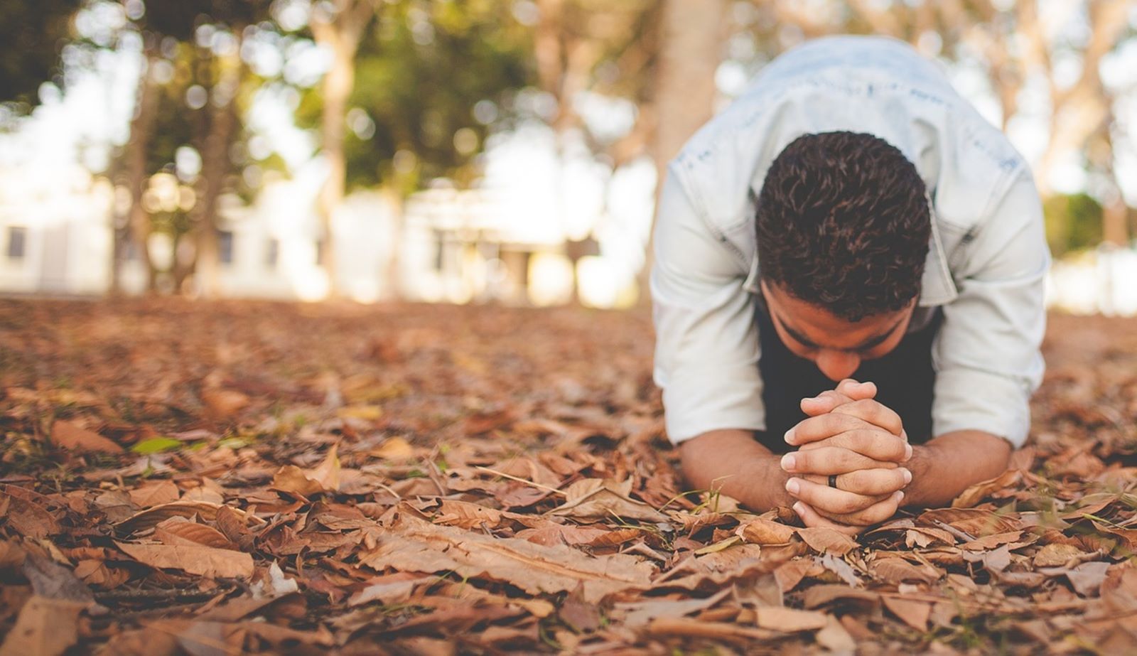 L’INTERCESSION