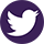 Twitter icon