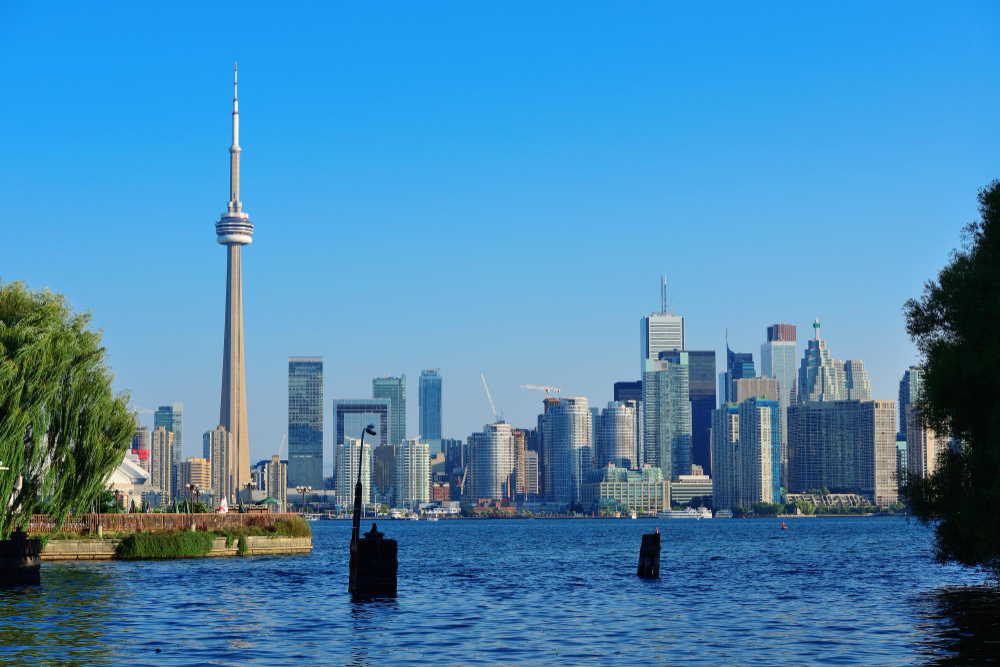 Study Abroad Made Easy—Get Expert Guidance Today! 1 3488
