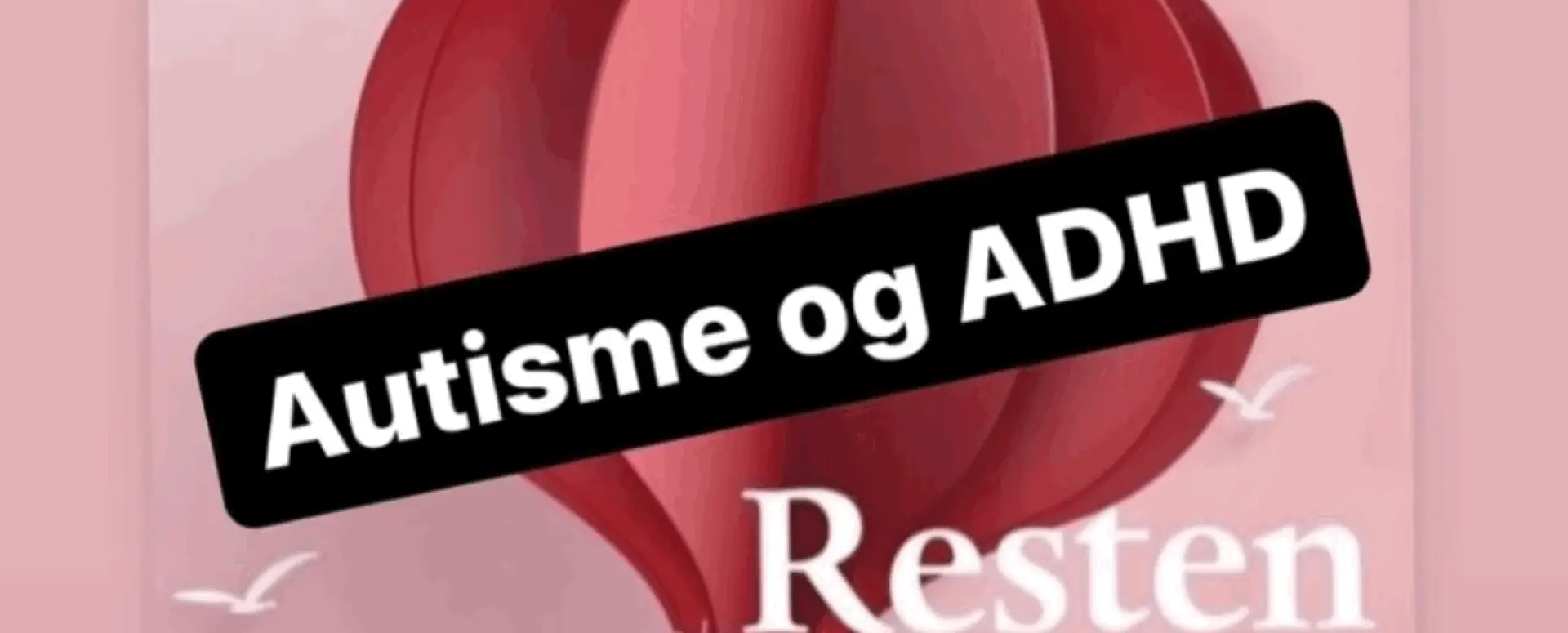 www.cfpl.dk, CFPL, Center for Psykoedukation og Læring, Betina Scheller, psykoedukation, selvforståelsesforløb, ADHD, ASF, Autismespektrumforstyrrelser, rettidig indsats, specialkonsulenter, diagnoseforståelse, pædagogiske værktøjer, makkerordning, faglig mentor, ungementor,