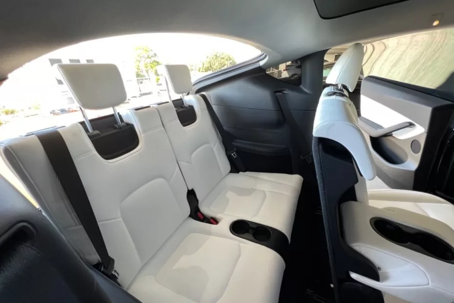 Model y 7 sits