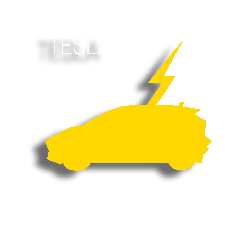 TESLA EXPRESS