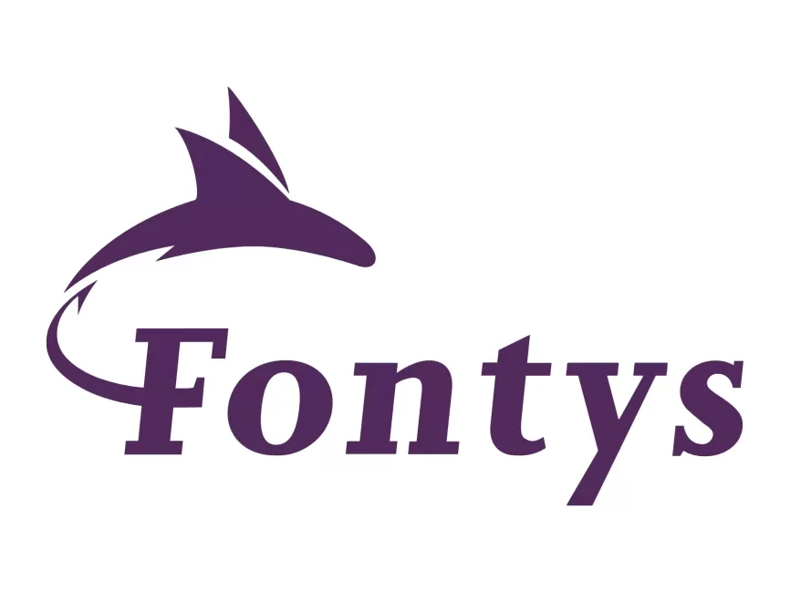 Scriptie nakijken Fontys Hogeschool