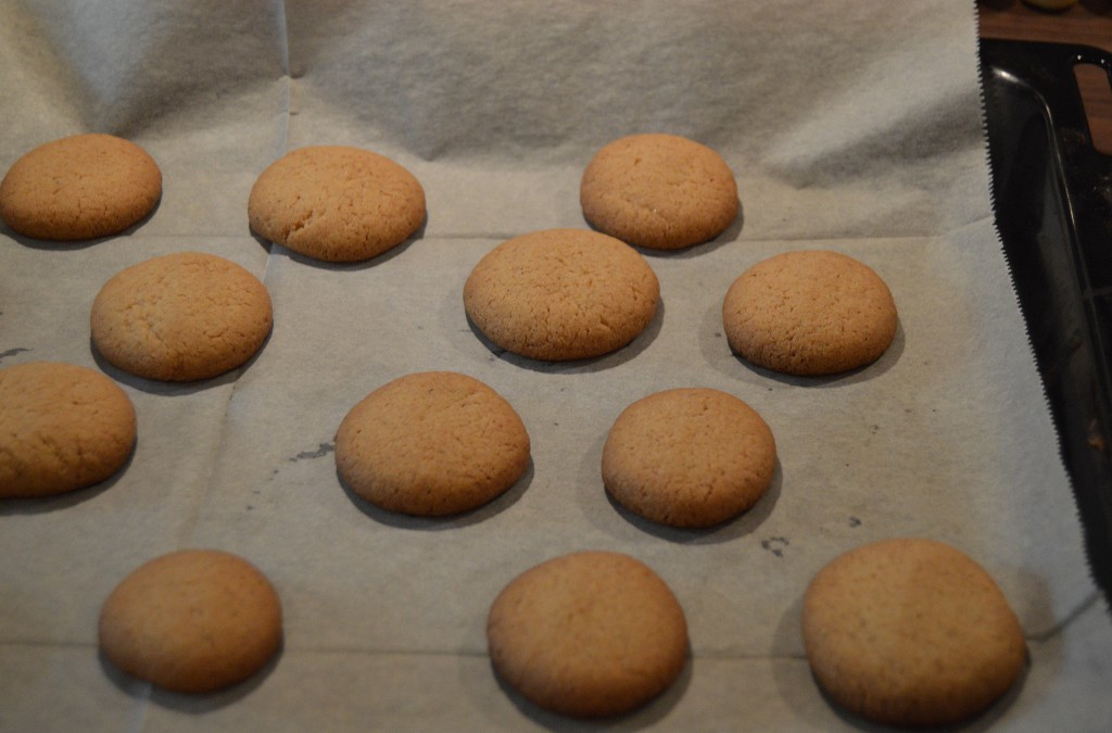 Ginger Nuts