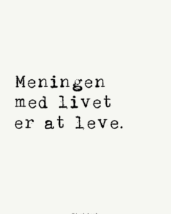 meningen_med_livet_citatkort