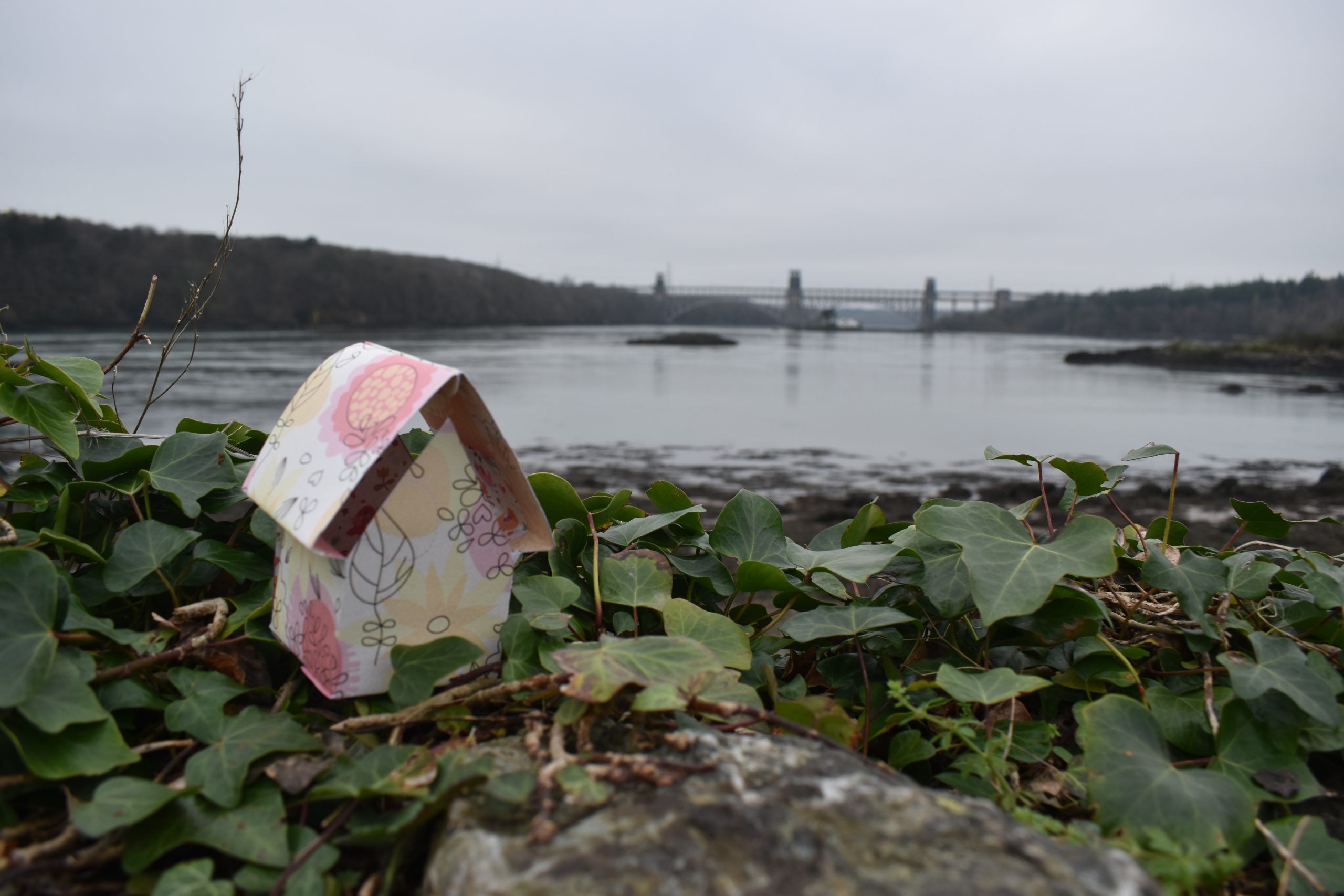 Liminal Houses