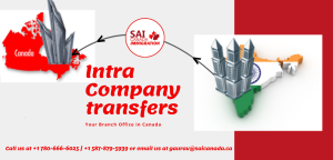Intra Company Transfers