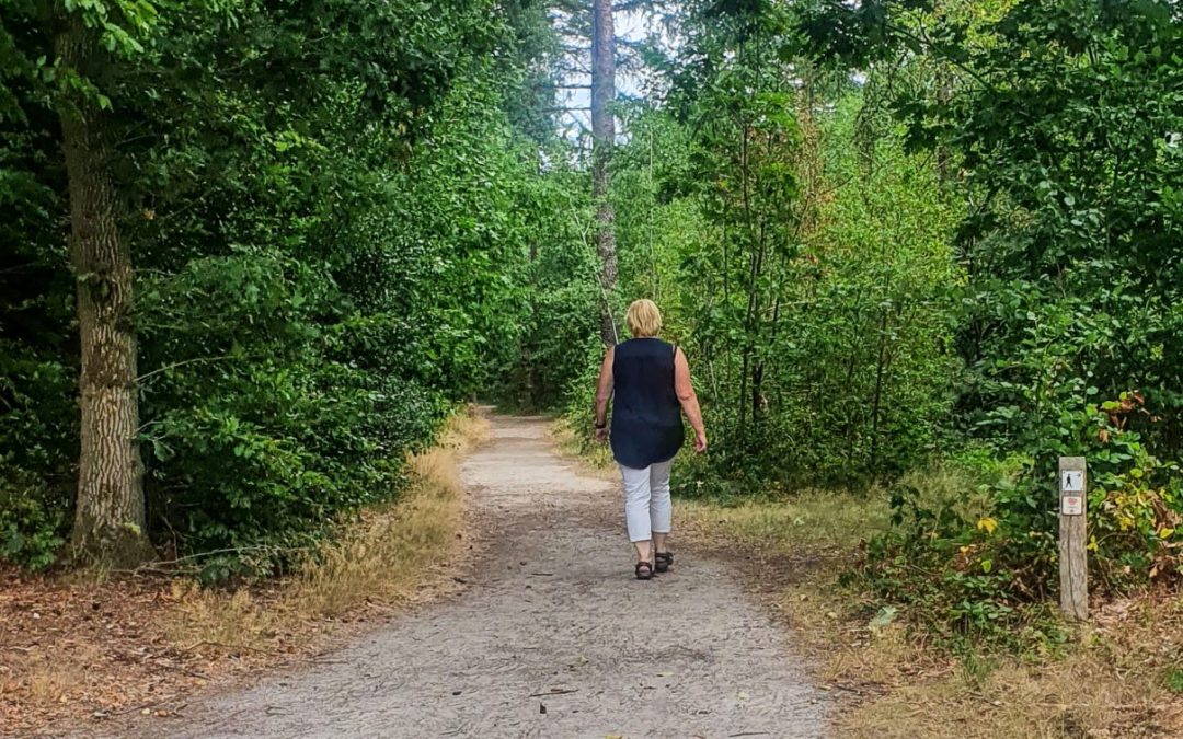 Dit is het beste moment op de dag om te wandelen