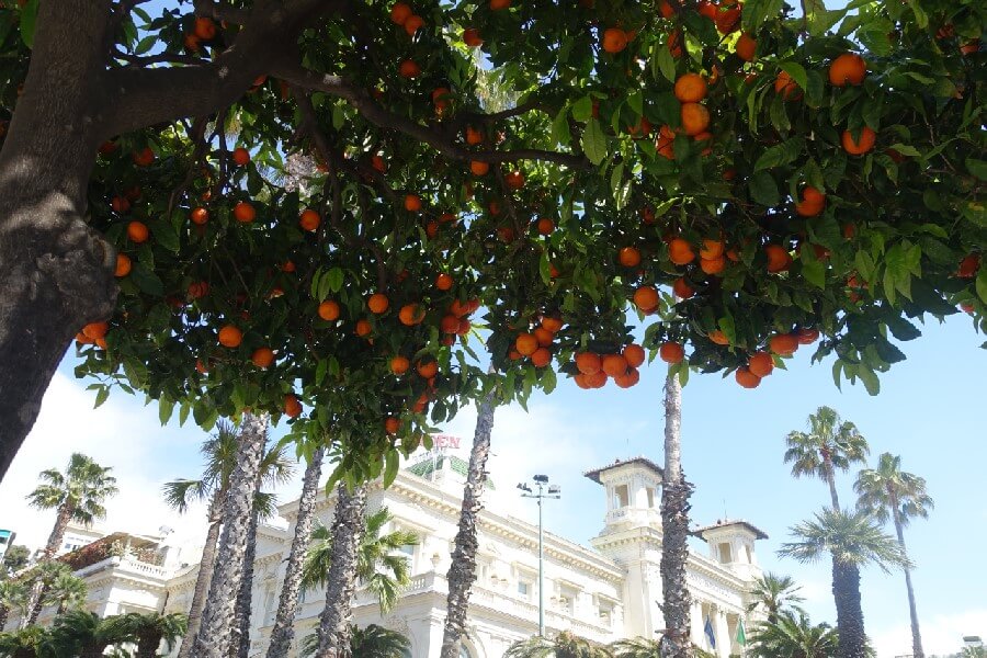 The nineteenth century San Remo Casino