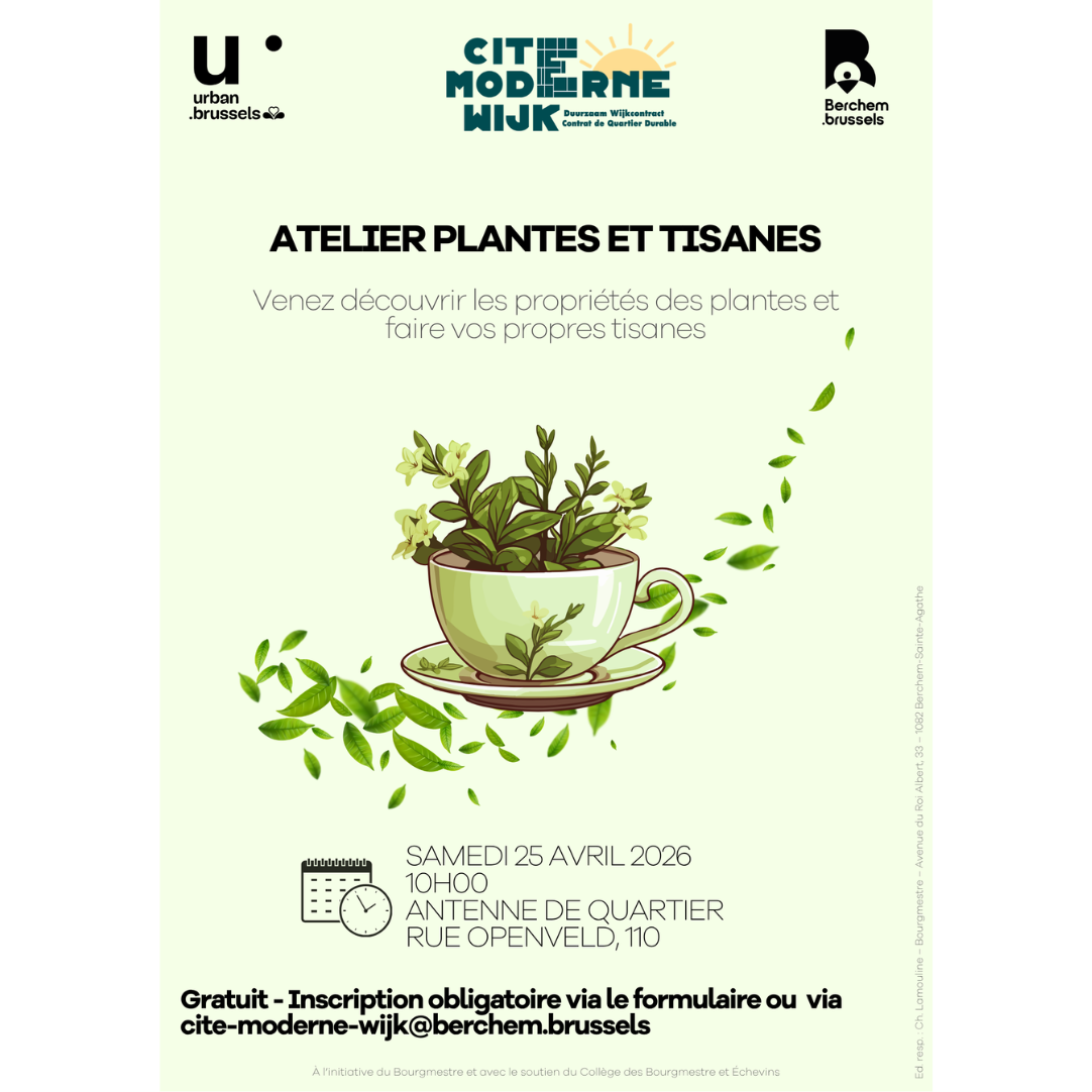 Read more about the article Ateliers plantes et tisanes du 25 avril 2026