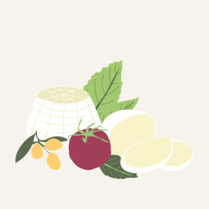 Fresh cheese illustration