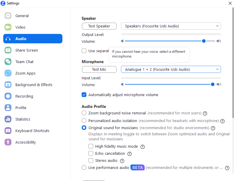 zoom software audio settings screenshot