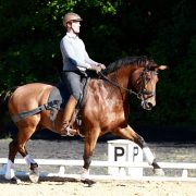 Claus_Toftgaard_rider_hest_med_Equiband