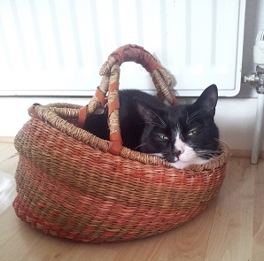 Boris basket