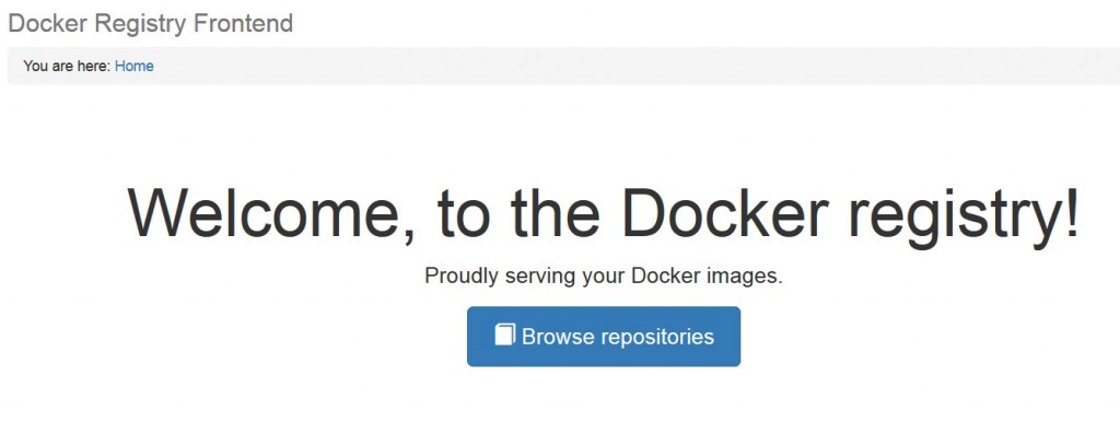 docker-front-end-1