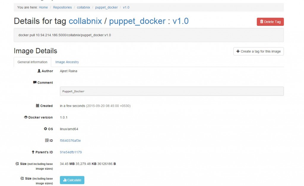 docker_registry_frontend