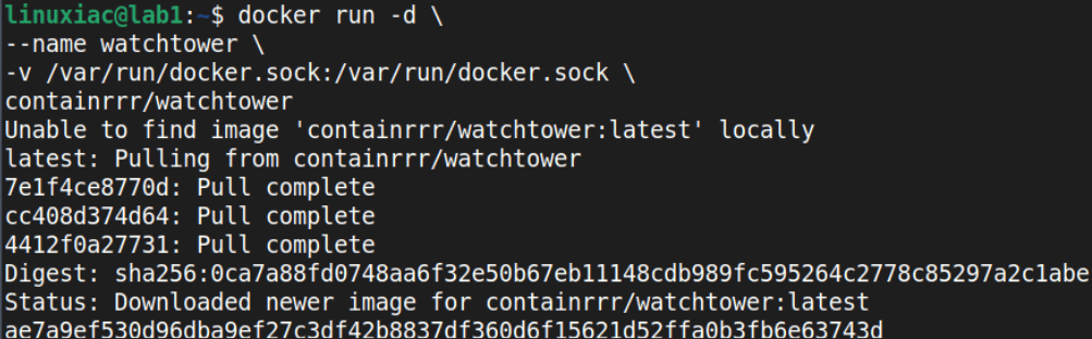watchtower docker screenshot