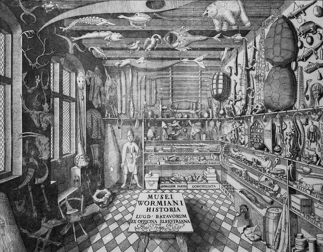 What Is a Curiosity Cabinet? – Collectioseum – A Museum of Wonders