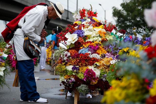 feria_de_las_flores_2015_07