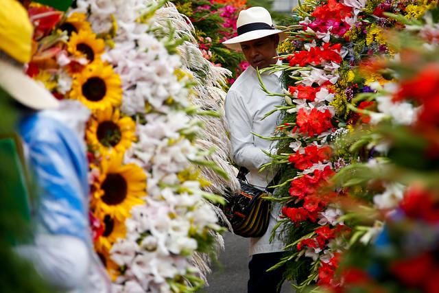 feria_de_las_flores_2015_14