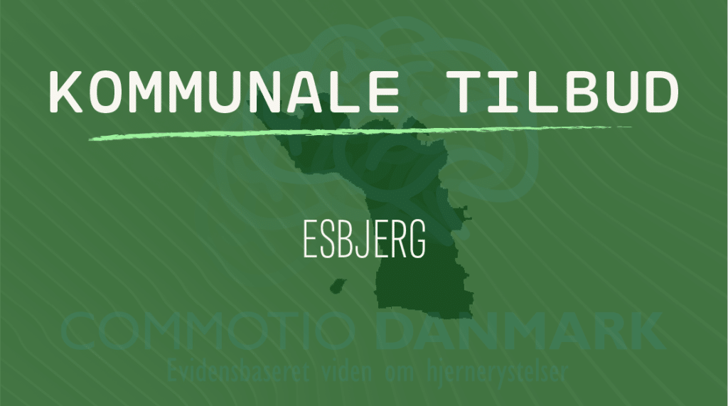 Tilbud til hjernerystelsesramte i Esbjerg Kommune