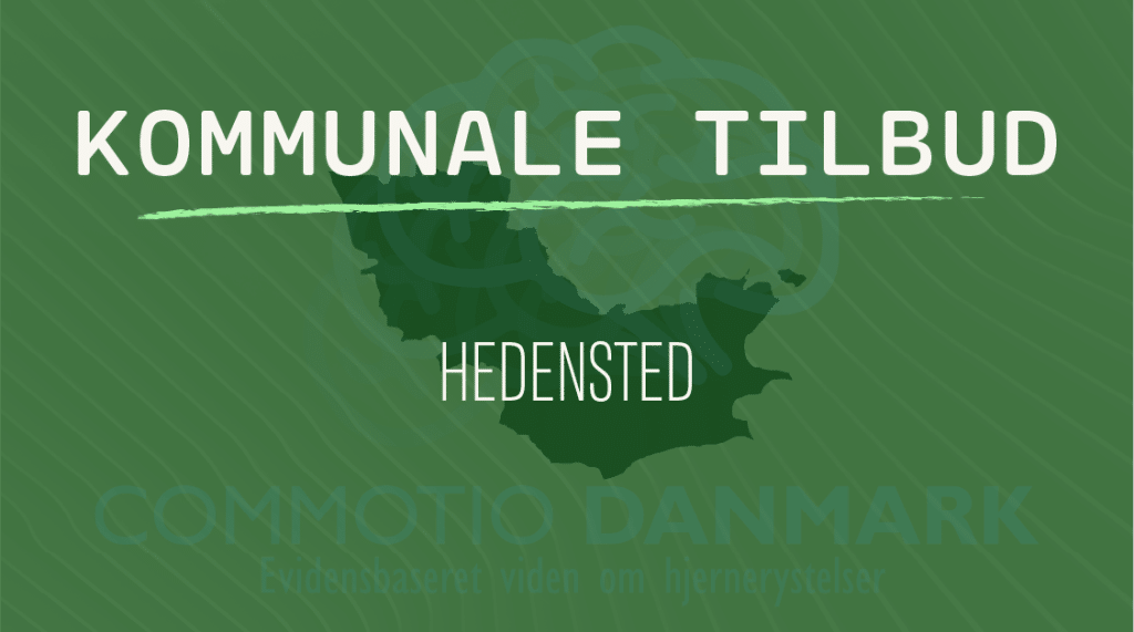 Tilbud til hjernerystelsesramte i Hedensted Kommune