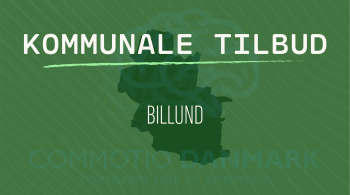 Tilbud til hjernerystelsesramte i Billund Kommune