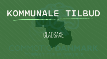 Tilbud til hjernerystelsesramte i Gladsaxe Kommune