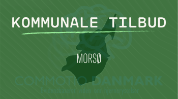 tilbud til hjernerystelsesramte i Morsø Kommune