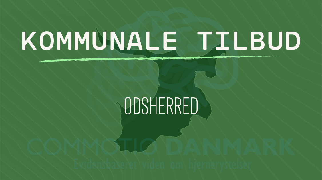 ODSHERRED Tilbud til hjernerystelsesramte i Odsherred Kommune