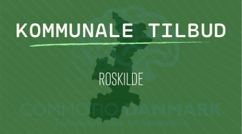 Tilbud til hjernerystelsesramte i Roskilde Kommune