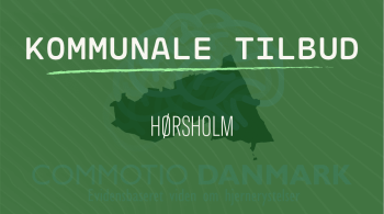Tilbud til hjernerystelsesramte i Hørsholm Kommune
