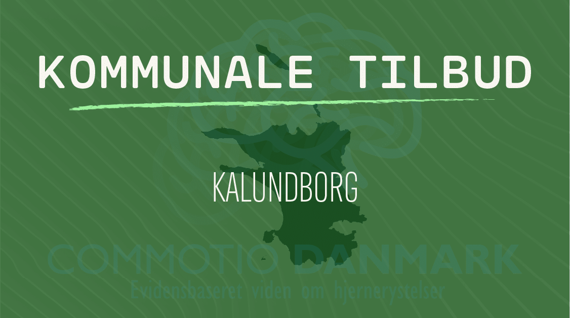 KALUNDBORG Tilbud til hjernerystelsesramte i Kalundborg Kommune