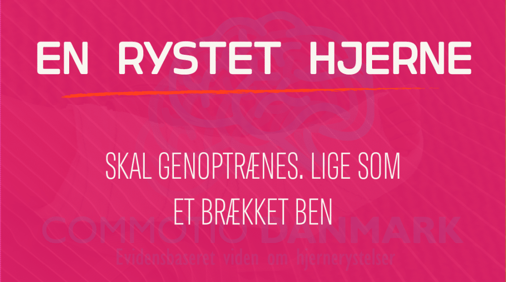 En rystet hjerne skal genoptrænes. Ligesom et brækket ben