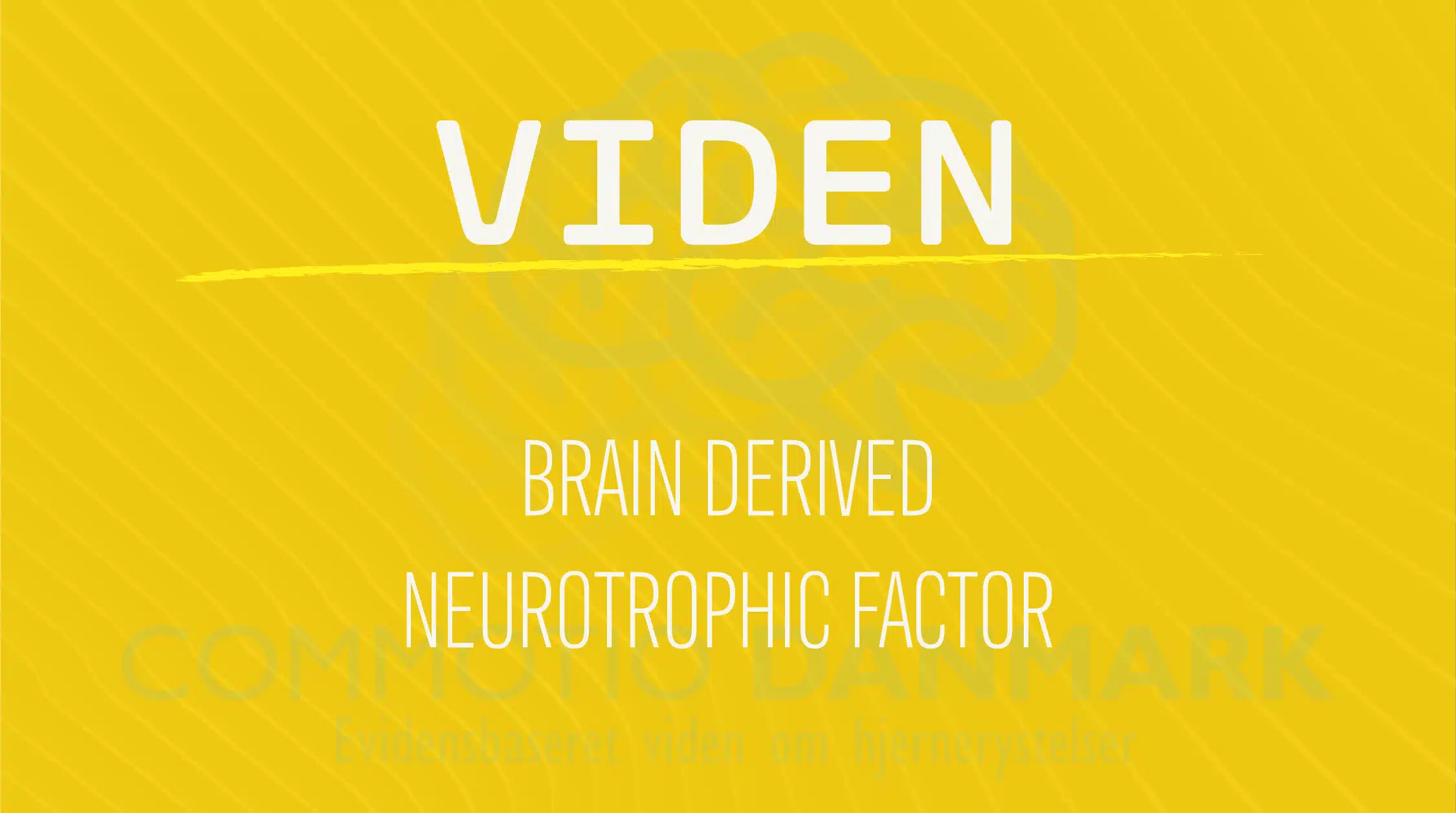 Brain-derived neurotrophic factor - BDNF