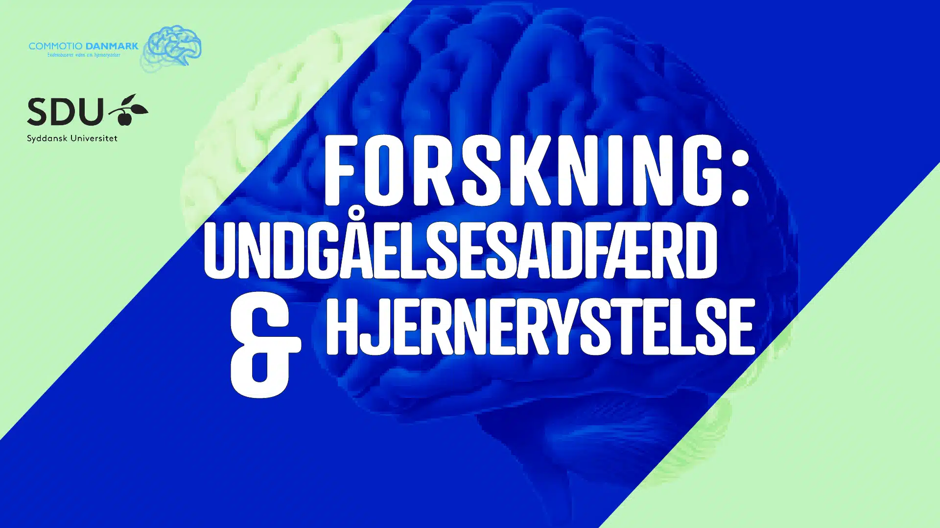 Deltagerinformation Undgåelsesadfærd