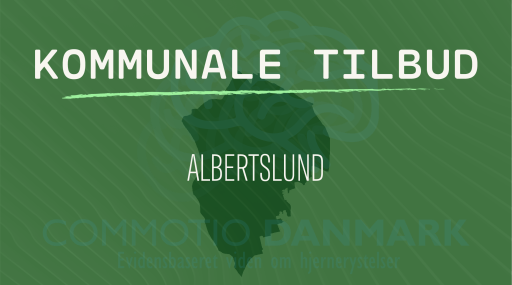 Tilbud til hjernerystelsesramte i Albertslund Kommune