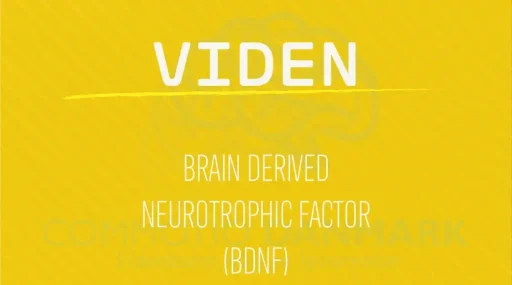 Brain derived neurotrophic factor og hjernerystelse; BDNF og hjernerystelse