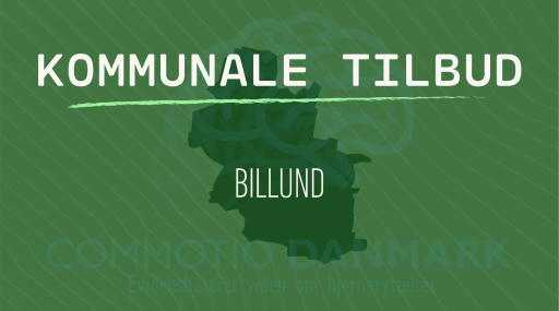 Tilbud til hjernerystelsesramte i Billund Kommune