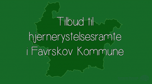 Tilbud til hjernerystelsesramte i Favrskov Kommune