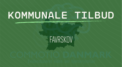 Tilbud til hjernerystelsesramte i Favrskov Kommune