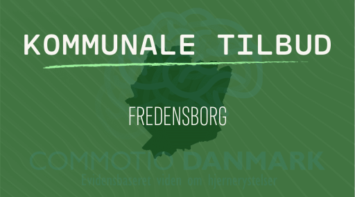 Tilbud til hjernerystelsesramte i Fredensborg Kommune