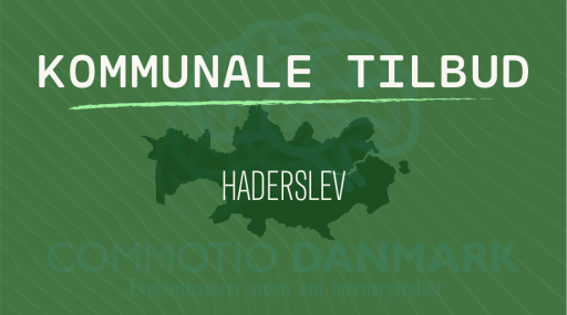 Tilbud til hjernerystelsesramte i Haderslev Kommune