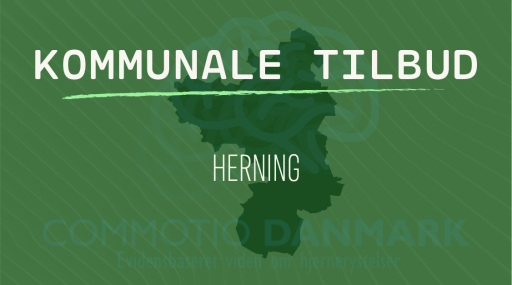 Tilbud til hjernerystelsesramte i Herning Kommune