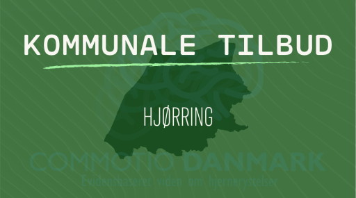 Tilbud til hjernerystelsesramte i Hjørring Kommune