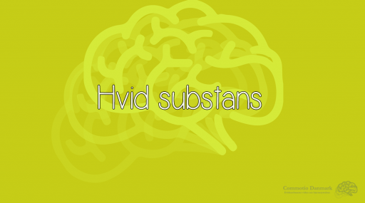 Hvid substans Hvid substans