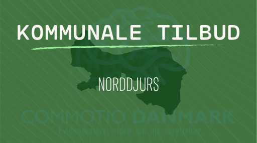 Tilbud til hjernerystelsesramte i Norddjurs Kommune