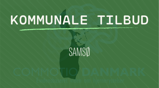 Tilbud til hjernerystelsesramte i Samsø Kommune